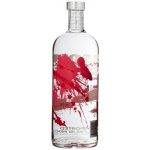 Absolut Raspberry 40% 1 l (holá láhev) – Hledejceny.cz
