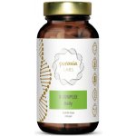 Puravia LABS B-komplex daily 60 kapslí – Hledejceny.cz