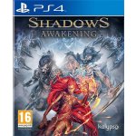 Shadows: Awakening – Zboží Dáma