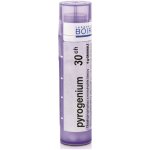 PYROGENIUM POR 30CH GRA 4G – Hledejceny.cz