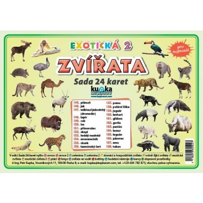 Sada 24 karet - zvířata exotická 2 A5 21x15 cm – Zboží Mobilmania