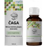 Befungin extrakt z čagy 100 ml – Hledejceny.cz