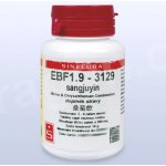 Sinecura EBF1.9-3129 sangjuyin 60 tablet – Hledejceny.cz