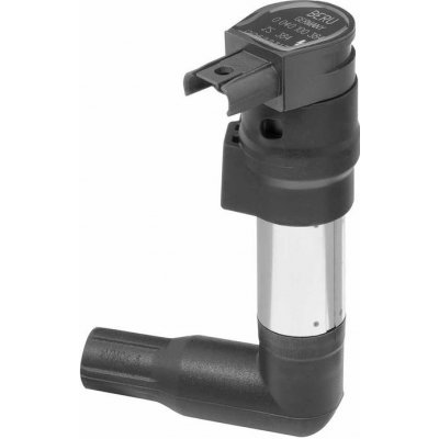 Zapalovací cívka BorgWarner (BERU) ZS384 – Hledejceny.cz