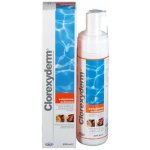 ICF Clorexyderm roztok 250 ml – Zboží Dáma