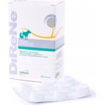 ATV impex Direne tbl 32 – Hledejceny.cz