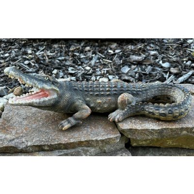 Krokodýl – Zboží Dáma