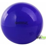 Ledragomma Gymnastik Ball Standard 65 cm – Zboží Dáma