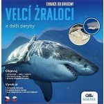 Albi Science Exkurze do divočiny Velcí žraloci a další paryby – Hledejceny.cz
