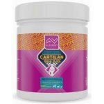 Cartilan BASE K2+D3 Mega 300 tbl – Hledejceny.cz
