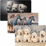 Podložka na stůl 60x40 cm Animal – Zboží Dáma