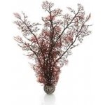 BiOrb Sea Fan karmínová 39 cm – Hledejceny.cz