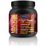 Fitco L-Glutamine 100% Pure 500 g – Hledejceny.cz