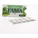 Žvýkačka ELMA Spearmint 13 g