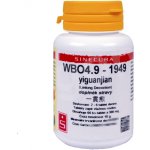 Sinecura WBO4.9 yiguanjian 60 tablet – Hledejceny.cz