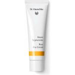 Dr. Hauschka Facial Care Rose Day Cream denní krém z růže 30 ml – Zboží Mobilmania