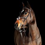 Horze Kožená uzdečka Prescott s mexickým nánosníkem hnědá – Zboží Mobilmania