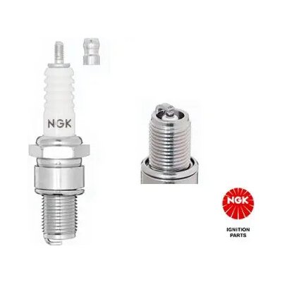 NGK Zapalovací svíčka (7310) – Hledejceny.cz