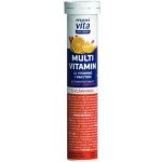 Vitar Maxi Vita Hořčík+B6 eff.20 tablet – Hledejceny.cz