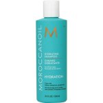 Moroccanoil Hydrating Shampoo 250 ml – Sleviste.cz