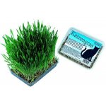 Nobby Tráva 100 g – Zboží Mobilmania