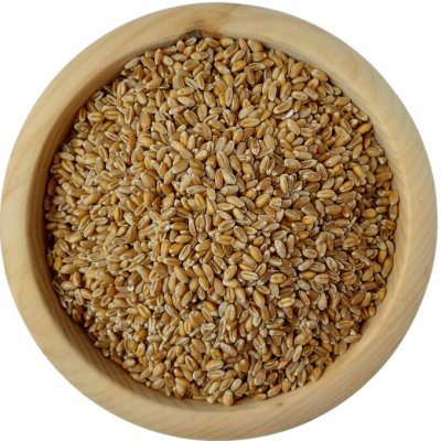 Dobrio Pšenice BIO na váhu 1 kg – Sleviste.cz