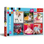 TREFL Šťastní pejsci 200 dílků – Sleviste.cz