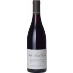 Domaine de Montille Nuits-Saint-Georges Aux Saints Juliens 2018 Červené 13% 0,75 l (holá láhev) – Hledejceny.cz