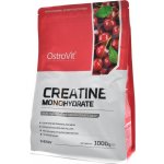 Ostrovit Creatine monohydrate 1000 g – Zboží Dáma