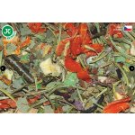 Dajana Tortoise Natural 250 ml – Zboží Dáma