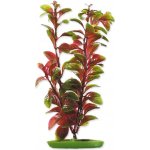 Hagen rostlina Red Ludwigia 20 cm – Hledejceny.cz