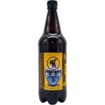 KOCOUR 11 CATFISH SUMEČEK 4,4% 1 l (PET) – Sleviste.cz