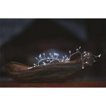 Emos D3FC01 LED vánoční nano řetěz ježek 2,4 m 3x AA vnitřní studená bílá časovač – Hledejceny.cz