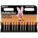 Duracell Basic 12ks AAA 42325 – Hledejceny.cz
