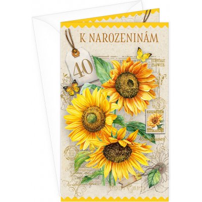 ARGUS Přání k 40.narozeninám 15-6575c40 – Zboží Dáma