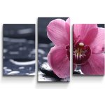 Sablio Obraz - 3-dílný Orchidej - 75x50 cm – Hledejceny.cz