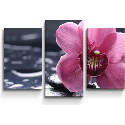 Sablio Obraz - 3-dílný Orchidej - 75x50 cm – Hledejceny.cz