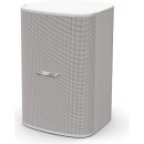 Bose DesignMax DM5SE