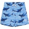 Color Kids Swim Shorts - Aop, azure blue