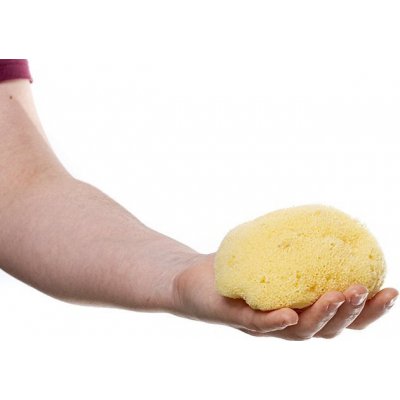 MKN Mořská houba hedvábná velká bělená – Zboží Mobilmania