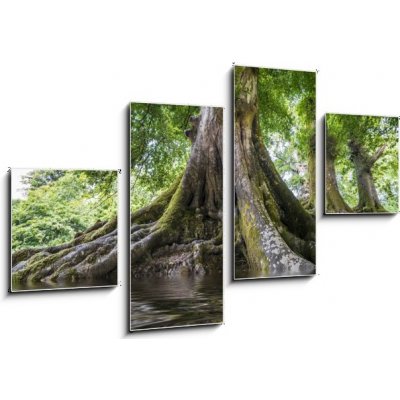 Obraz 4D čtyřdílný - 100 x 60 cm - big old tree and a river velký starý strom a řeka – Zboží Mobilmania