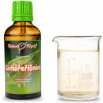 Bylinné kapky Gemmoterapie Lichořeřišnice pupeny tinktura z pupenů 50 ml – Hledejceny.cz