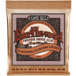 Ernie Ball 2152 – Hledejceny.cz