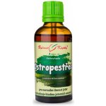 Bylinné kapky Ostropestřec tinktura 50 ml – Hledejceny.cz