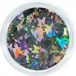 Aglia EXTREME SILVER BUTTERFLY glitry na nehty 1 g – Hledejceny.cz