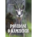 POVÍDÁNÍ O KAMZÍCÍCH - Bouzek Ota – Hledejceny.cz