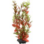 Tetra rostlina Red Ludwigia 23 cm – Zboží Mobilmania