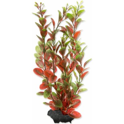 Tetra rostlina Red Ludwigia 23 cm – Zboží Mobilmania