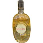 Candolini Grappa Classica 40% 0,7 l (holá láhev) – Zboží Dáma
