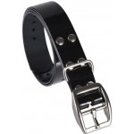 Plastový obojek Reedog 2,5 cm – Hledejceny.cz